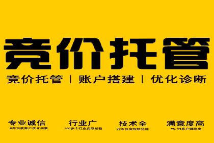 搜索引擎广告（SEM）在本地化推广中的运用案例